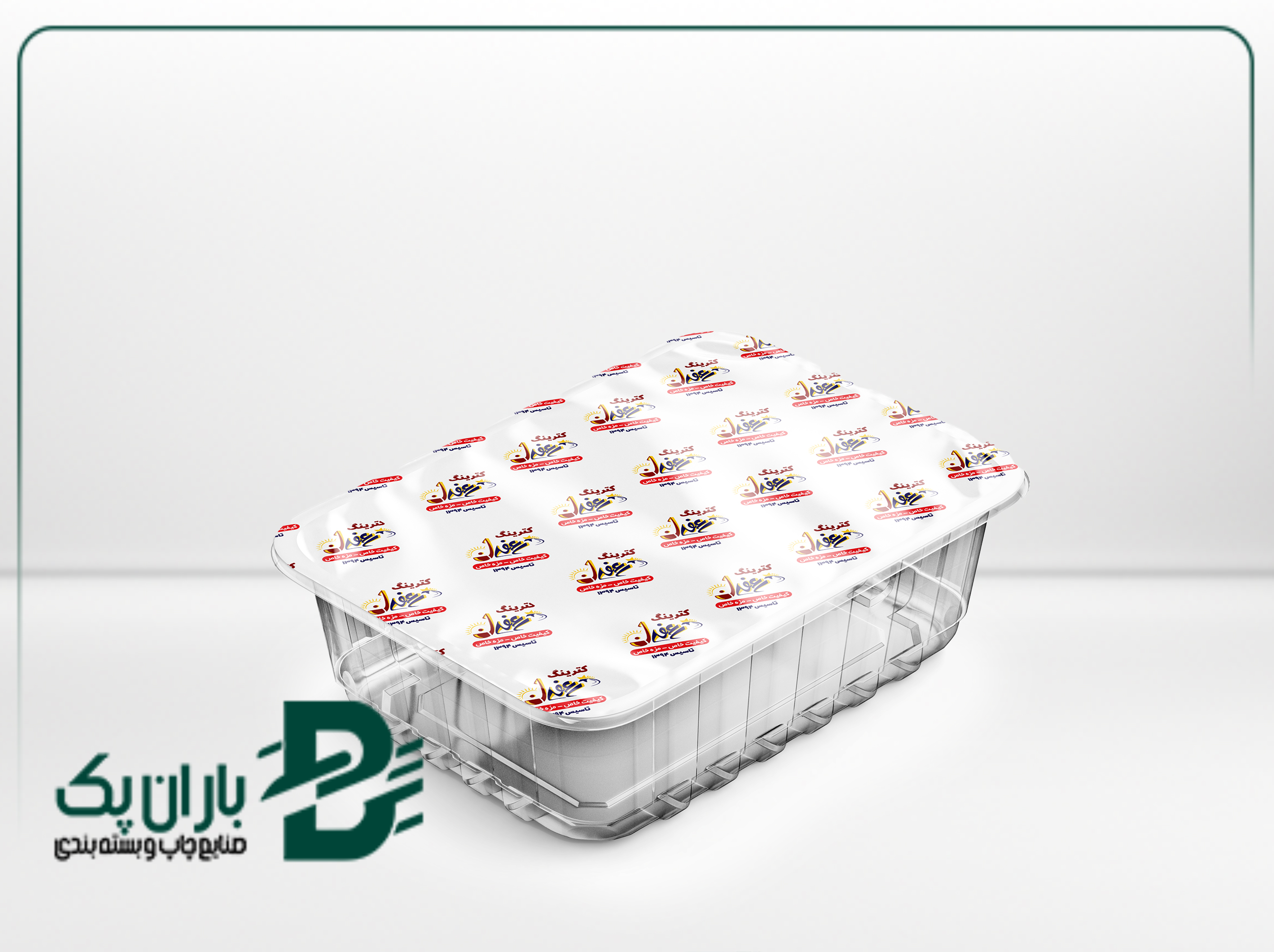 بسته بندی منجمد