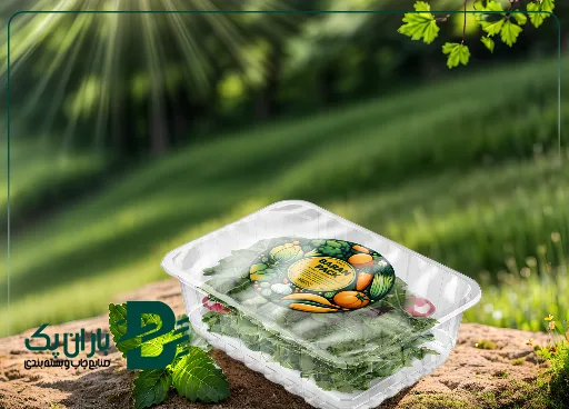 برای ماندگاری بیشتر سبزیجات از چه بسته‌بندی استفاده کنیم
